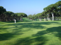 old course small