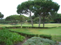 quinta small